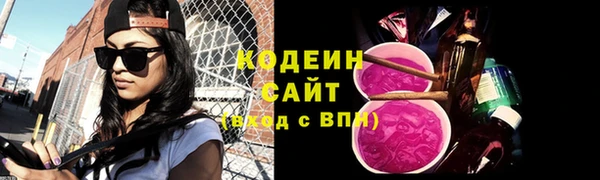 соль ск Арсеньев