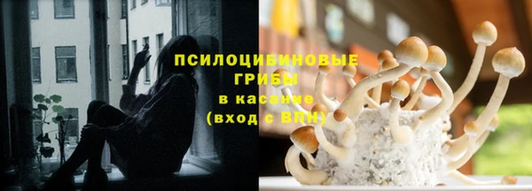jwh Алзамай