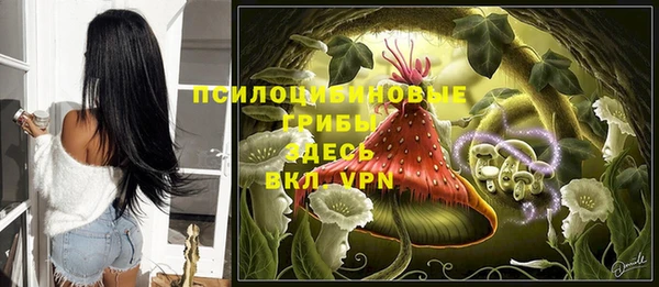соль ск Арсеньев